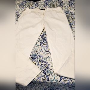 The limited stretch pants